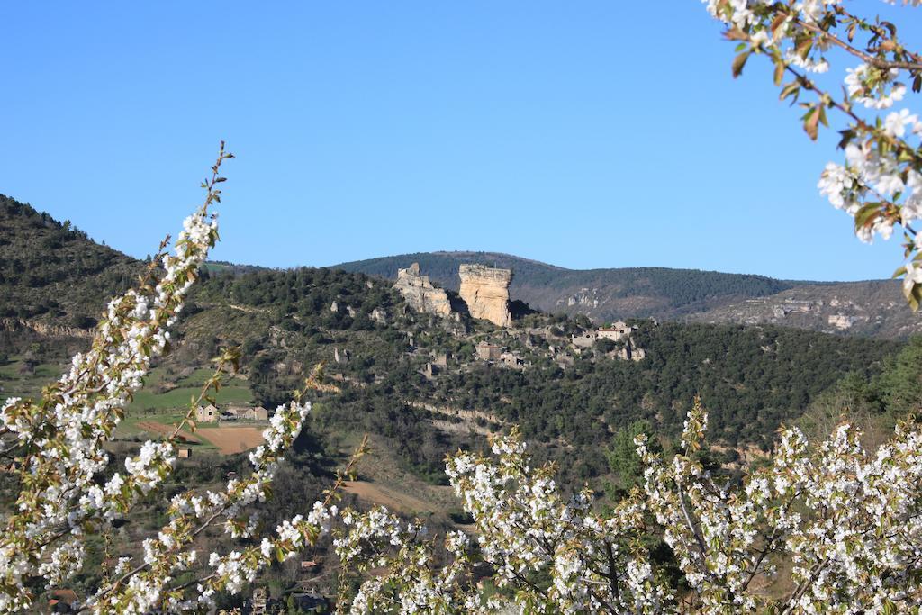 Gite La Cerise Qui Rit La Cresse Buitenkant foto